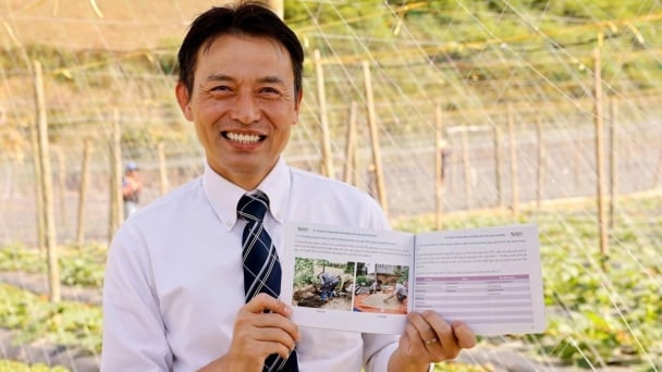 Moc Chau farmers get rich from vegetables: A boost from international projects